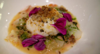 La Degustation – August 11, 2016